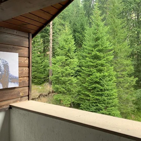 705 In The Stream Appartement Pamporovo