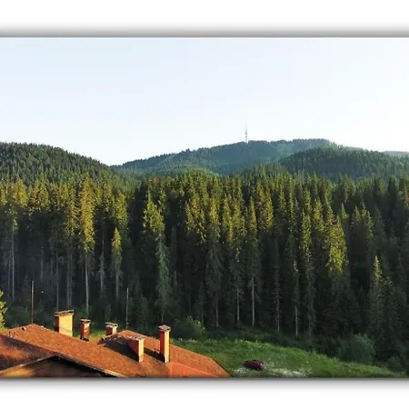 705 In The Stream Appartement Pamporovo