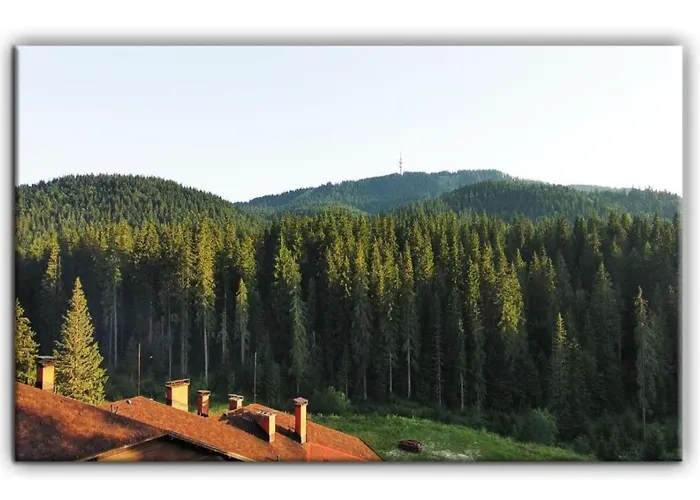 705 In The Stream Apartament Pamporowo