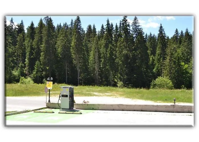 705 In The Stream * Pamporowo